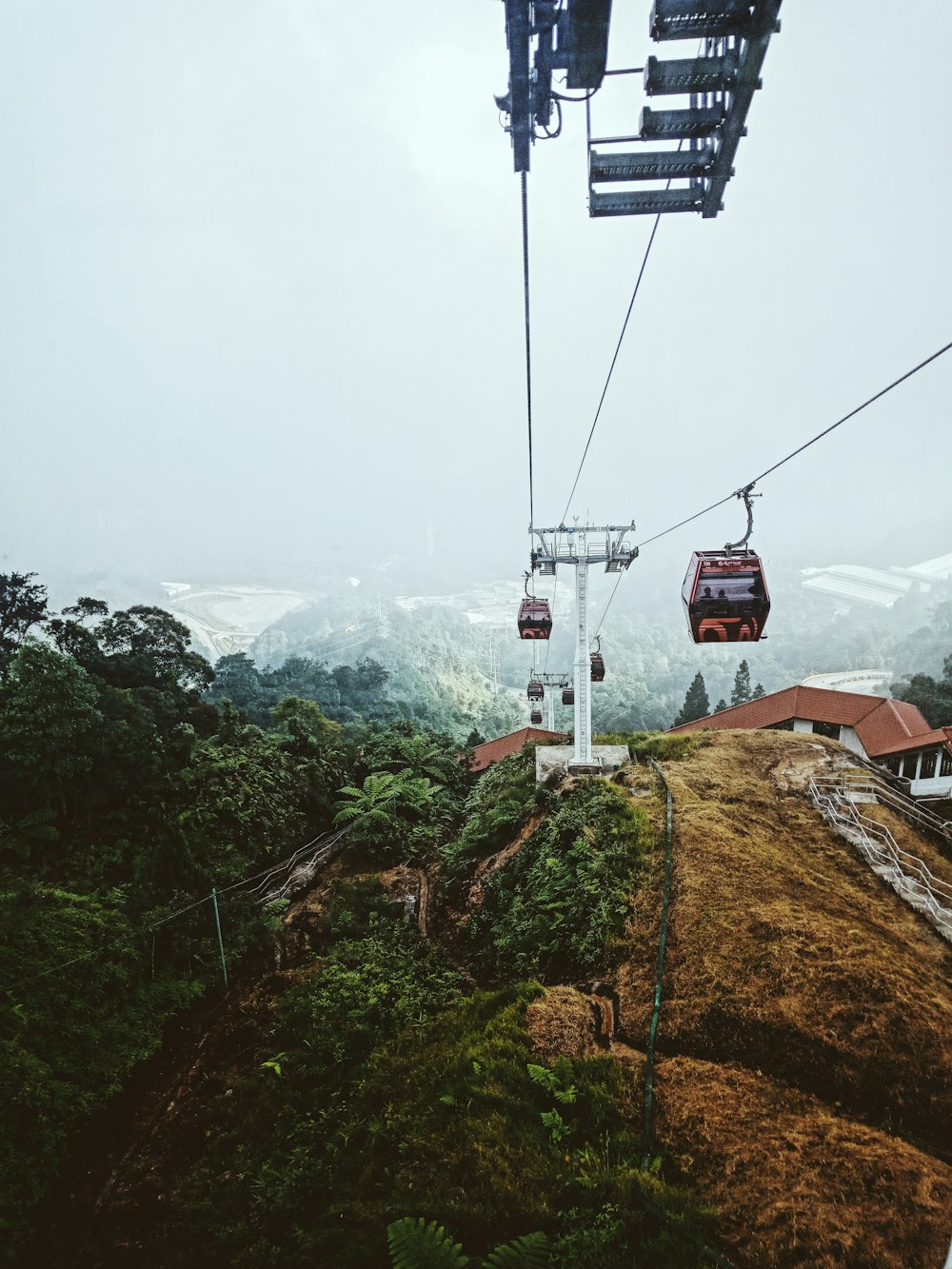 red cable car over green trees during daytime