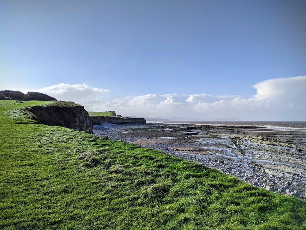 green grass field near body of water under blue sky during daytime