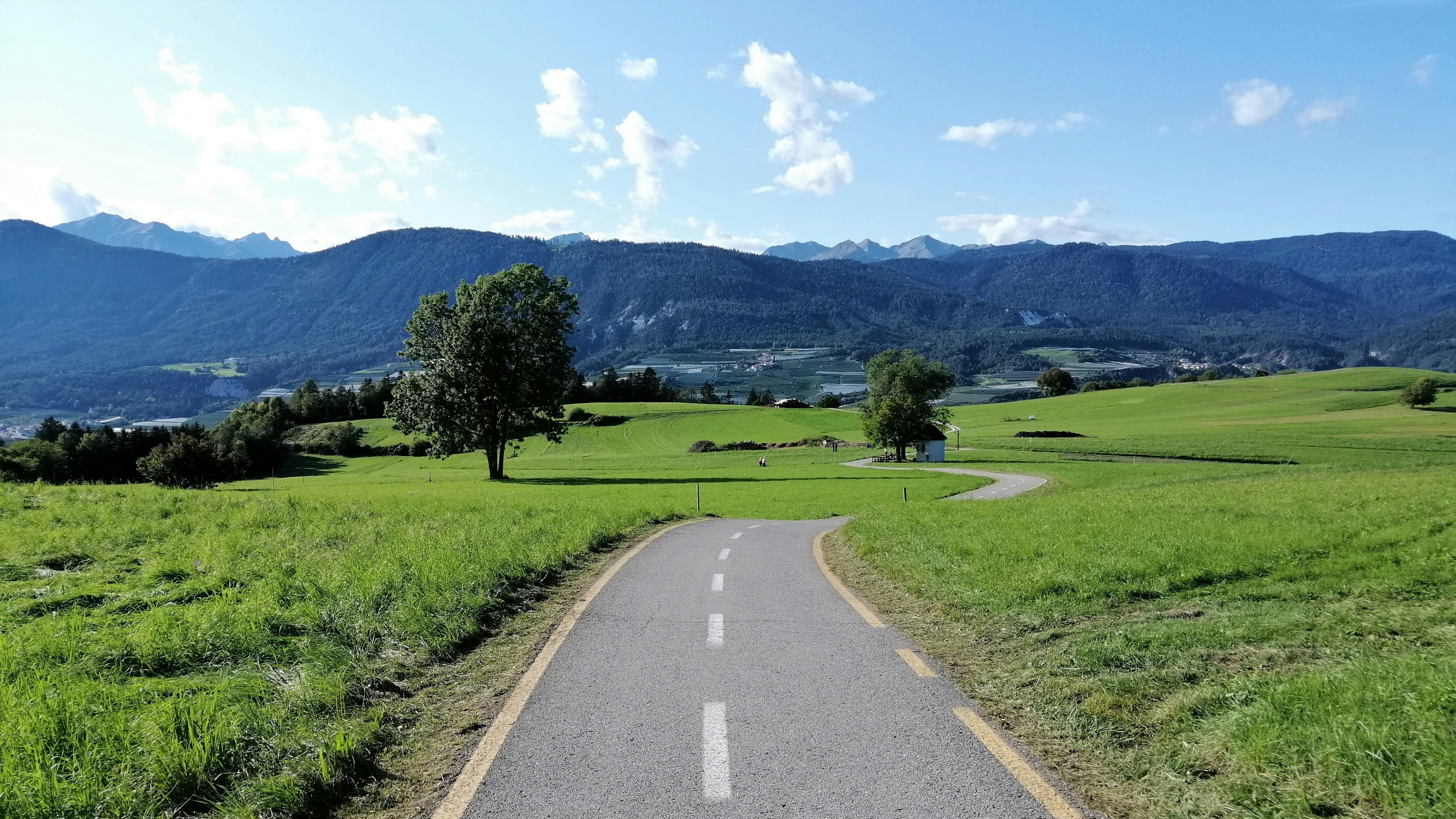 gray concrete road between green grass field during daytime