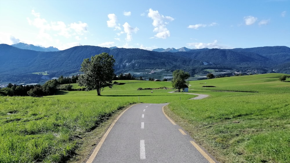 gray concrete road between green grass field during daytime