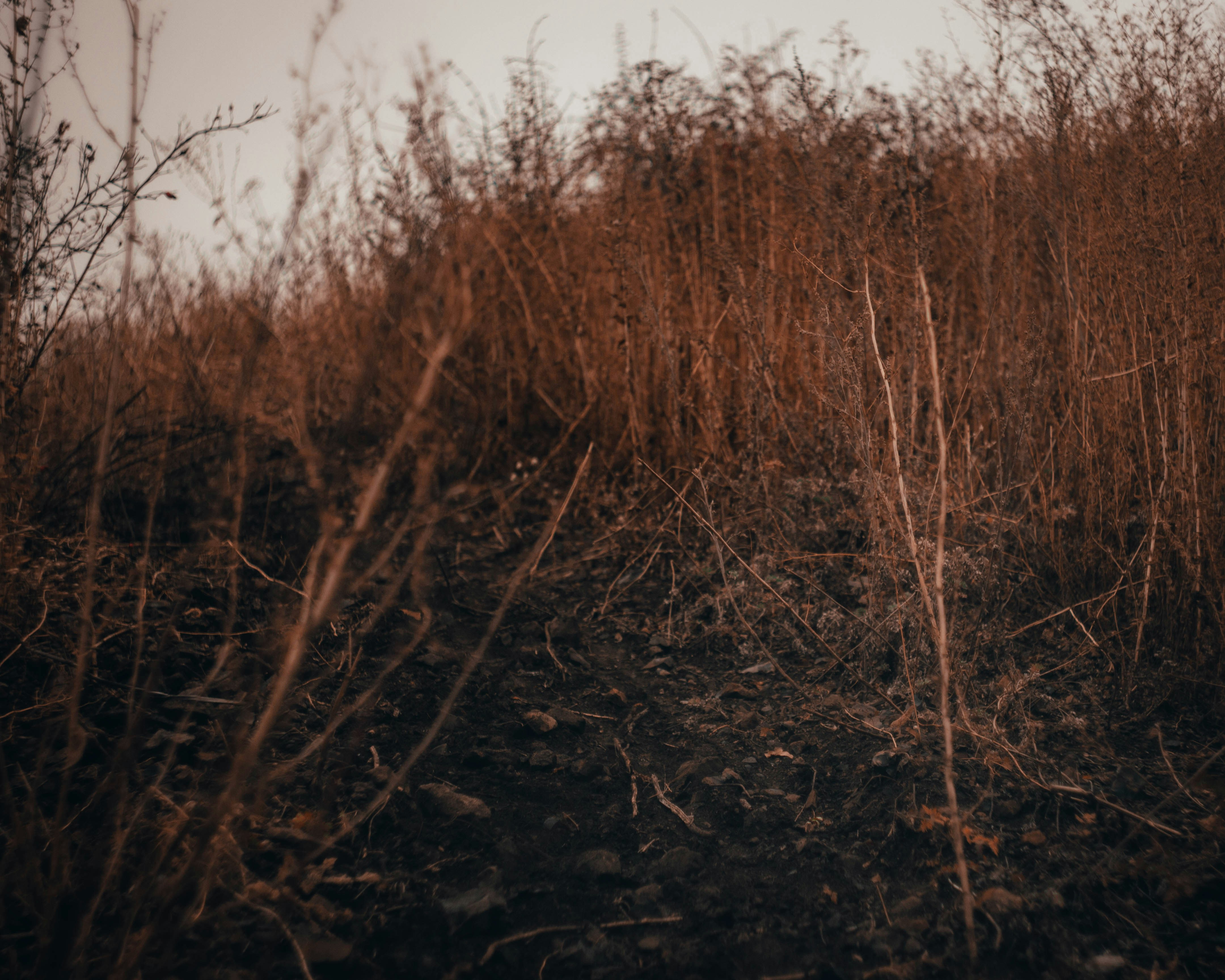 Photo by mind_n_soul_journey