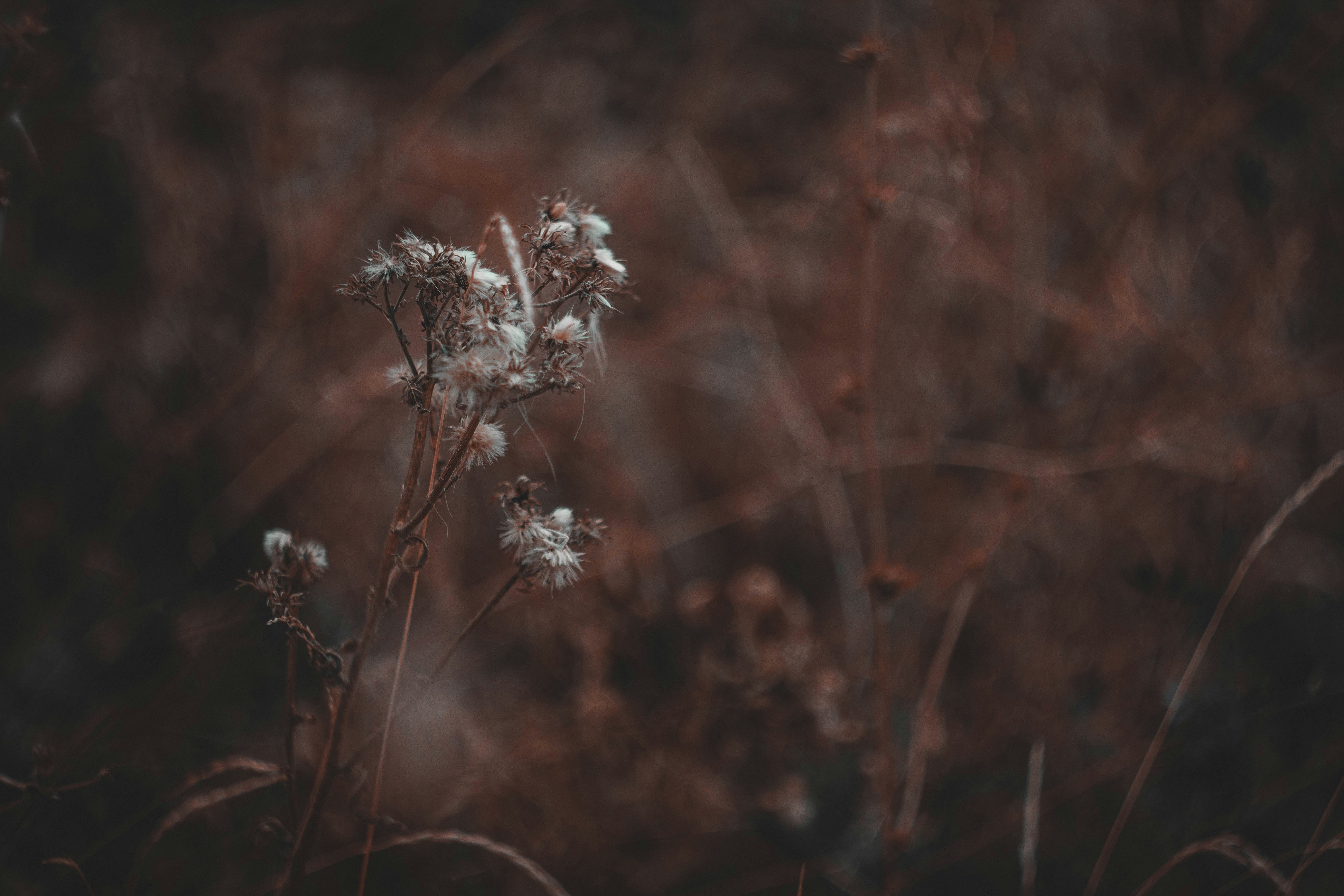 Photo by mind_n_soul_journey