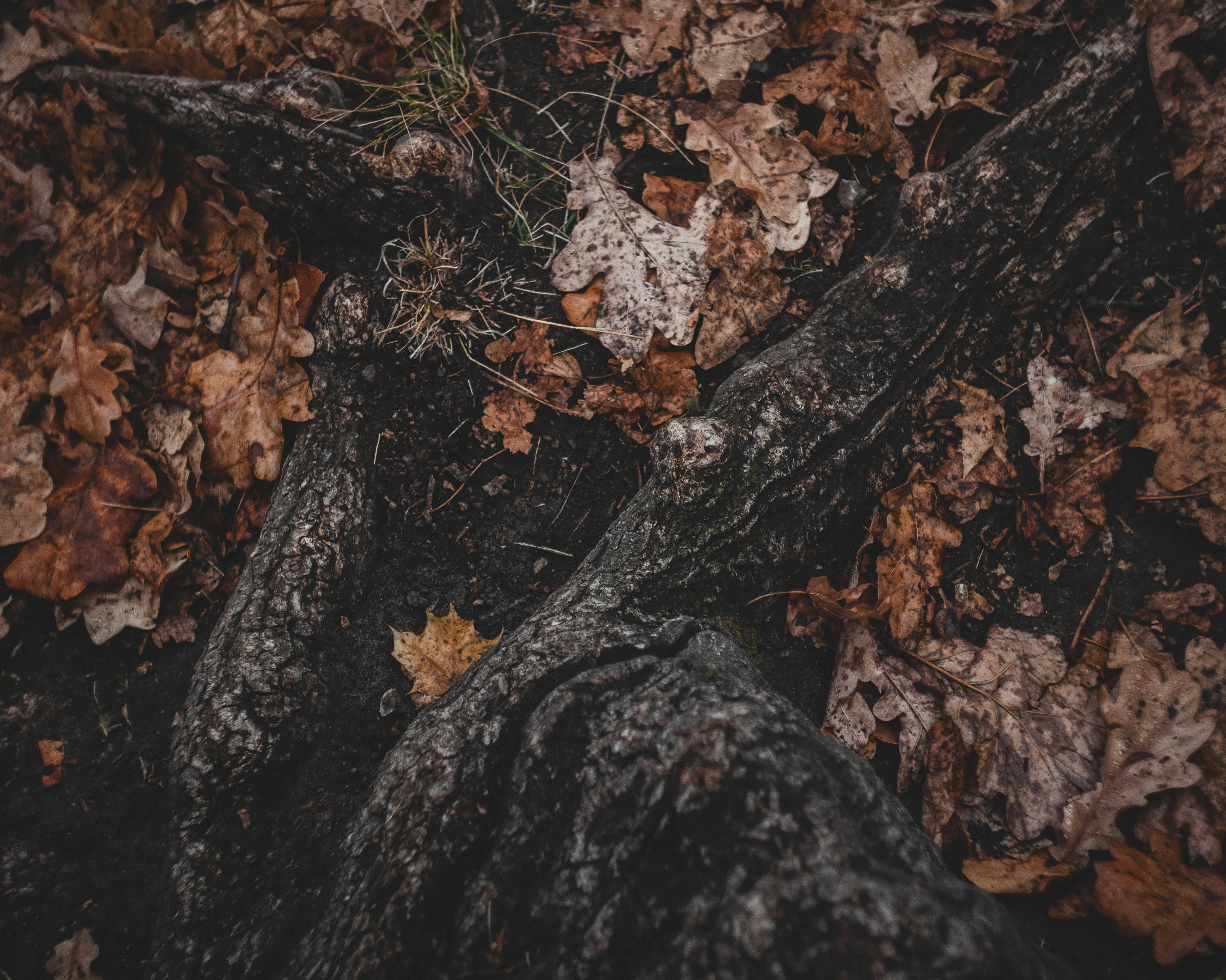 Photo by mind_n_soul_journey