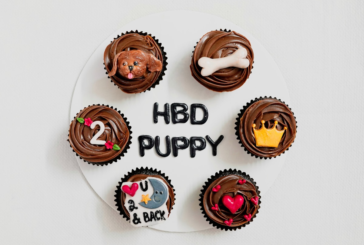 Can a Beginner Make Dog Themed Pupcakes That Wow Kids?
