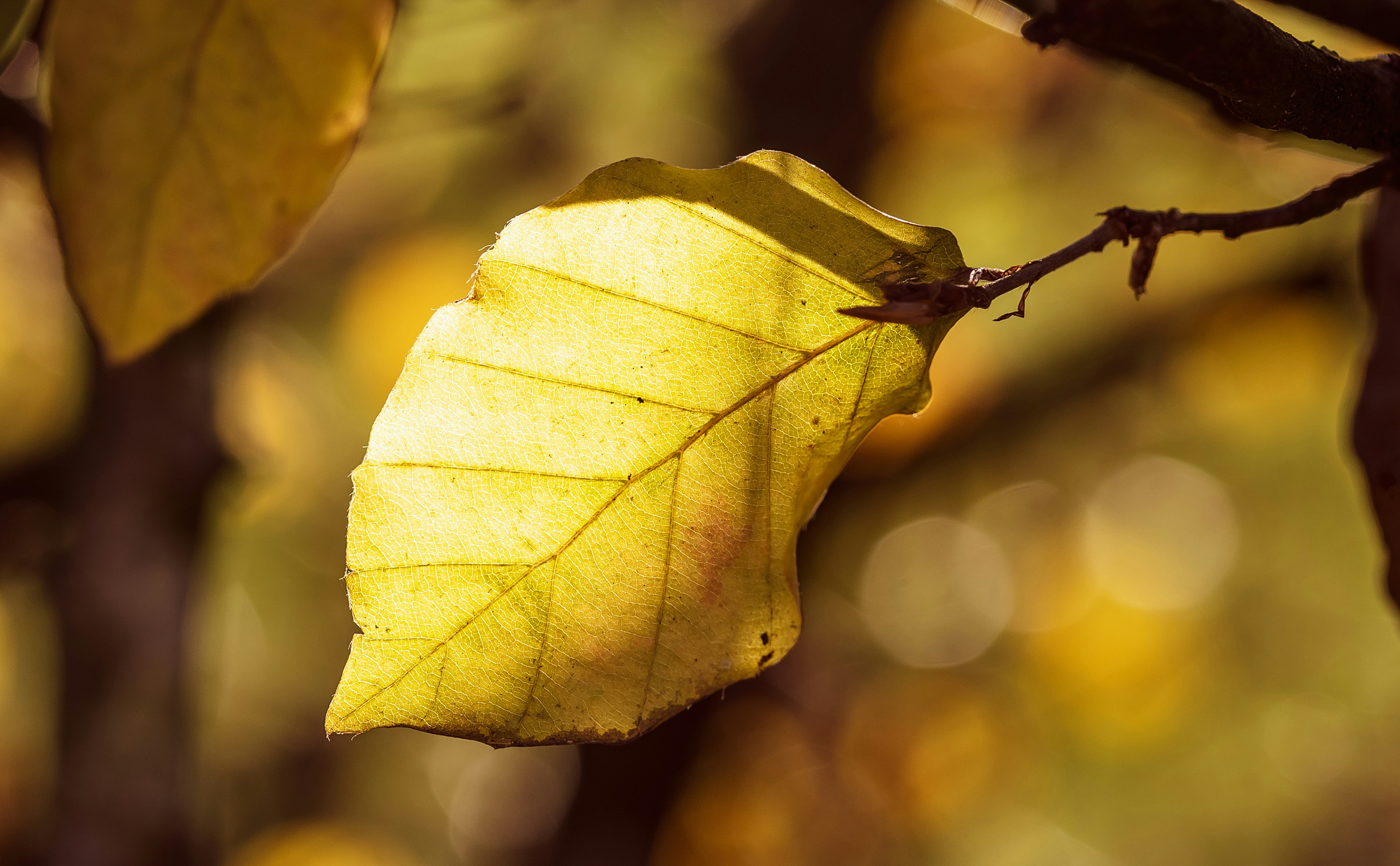 Photo by myriamzilles