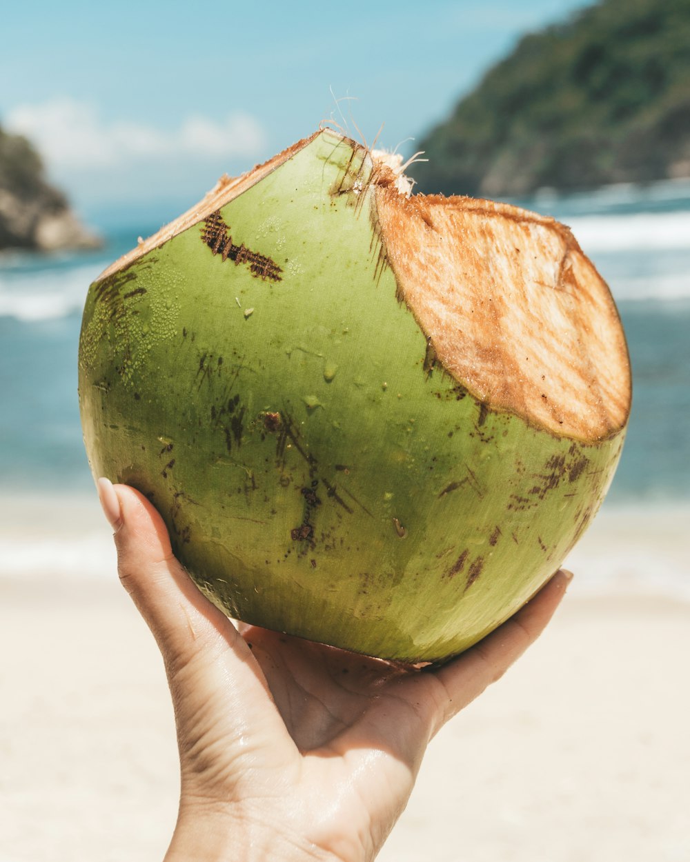 녹색 코코넛 열매를 들고 있는 사람