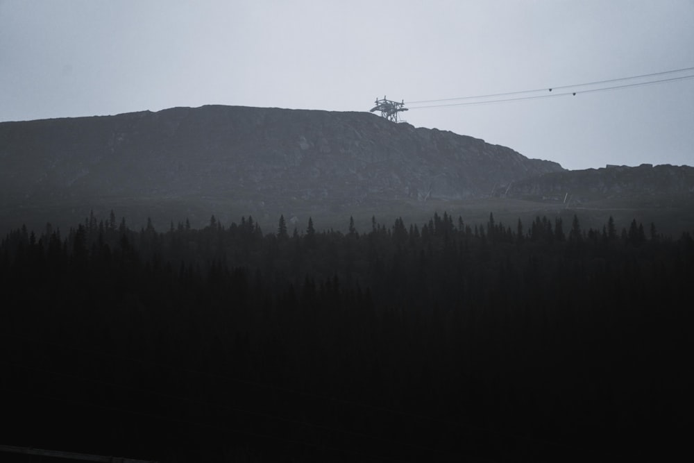 green trees on mountain under white sky during daytime