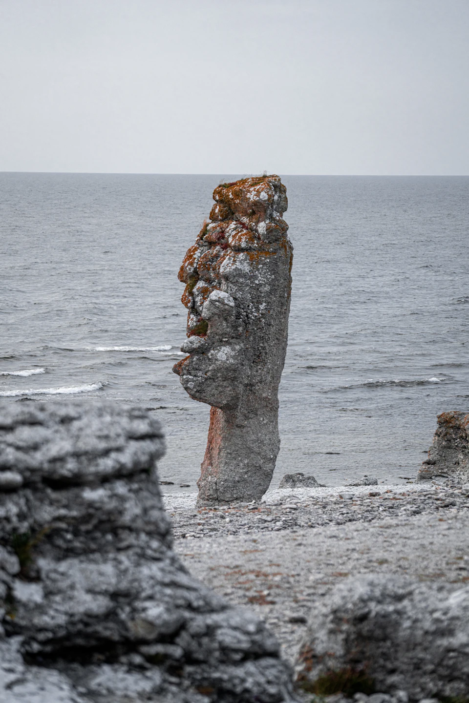 The image depicts a large, tall rock formation standing alone on a rocky shoreline. The rock is covered in moss and lichen, adding to its rugged appearance. The rock formation is situated near the water's edge, with the vast expanse of the ocean stretching out behind it. The sky above is overcast, casting a soft light over the scene.
