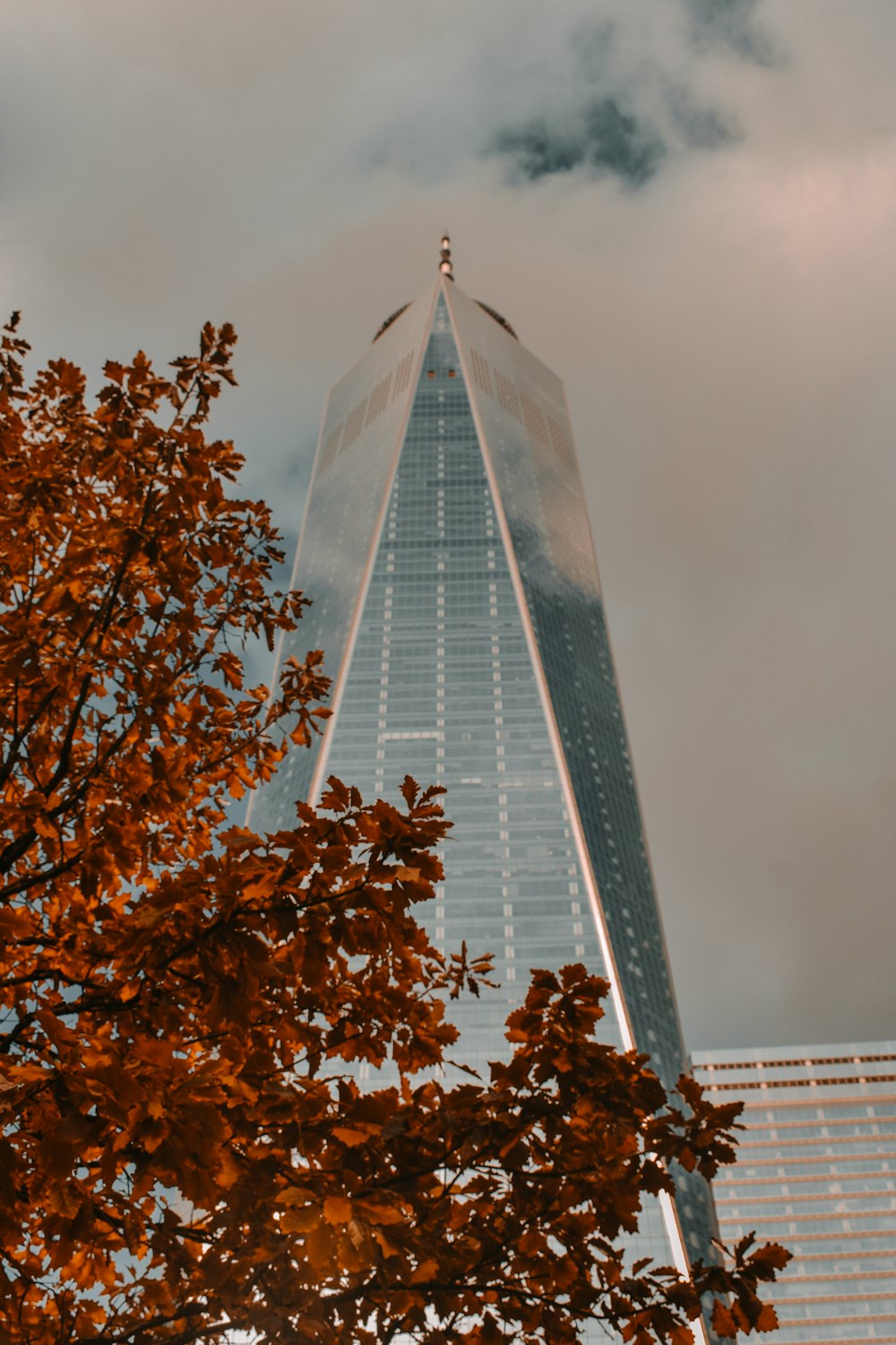 low angle photography of high rise building