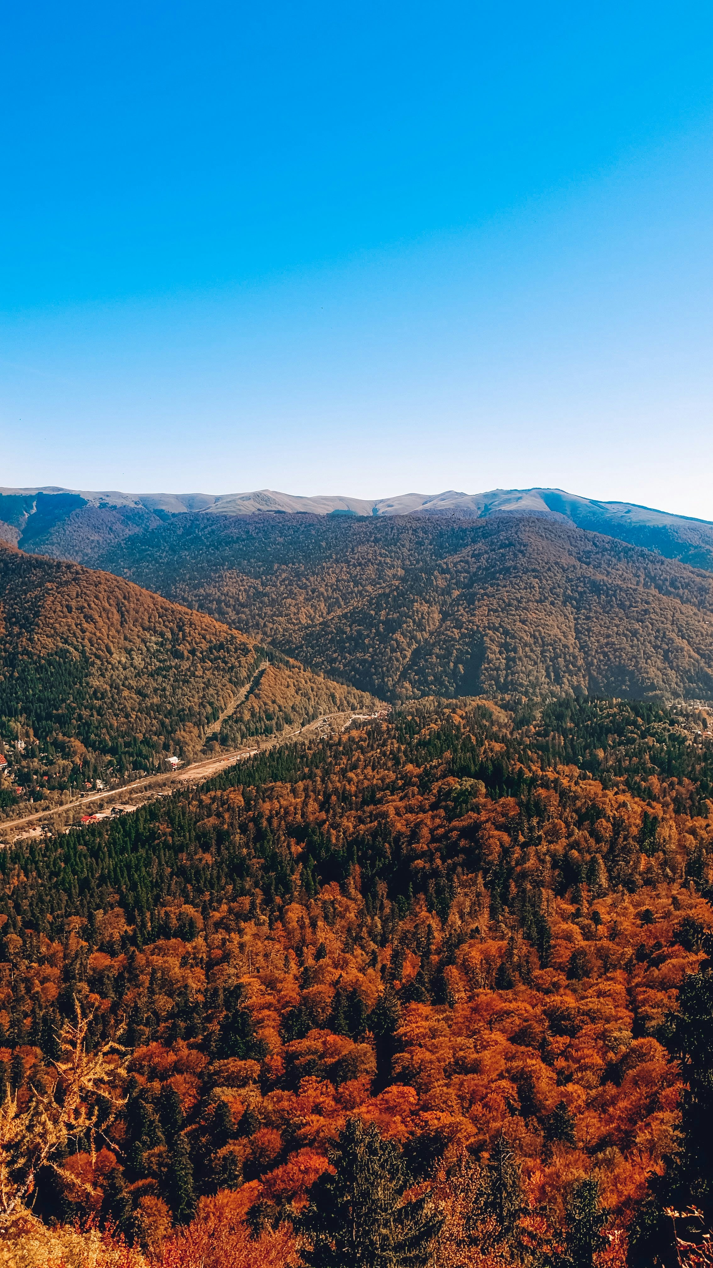 Containers in Pine, AZ