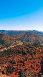 A serene view of San Francisco Peaks towering over Oak Creek Canyon with vibrant autumn colors.