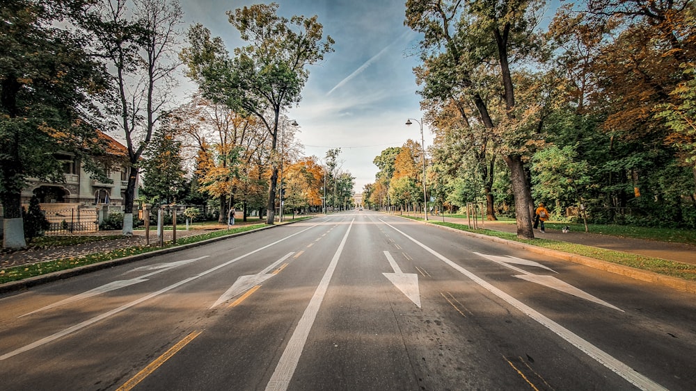 graue Asphaltstraße zwischen grünen Bäumen unter blauem Himmel tagsüber