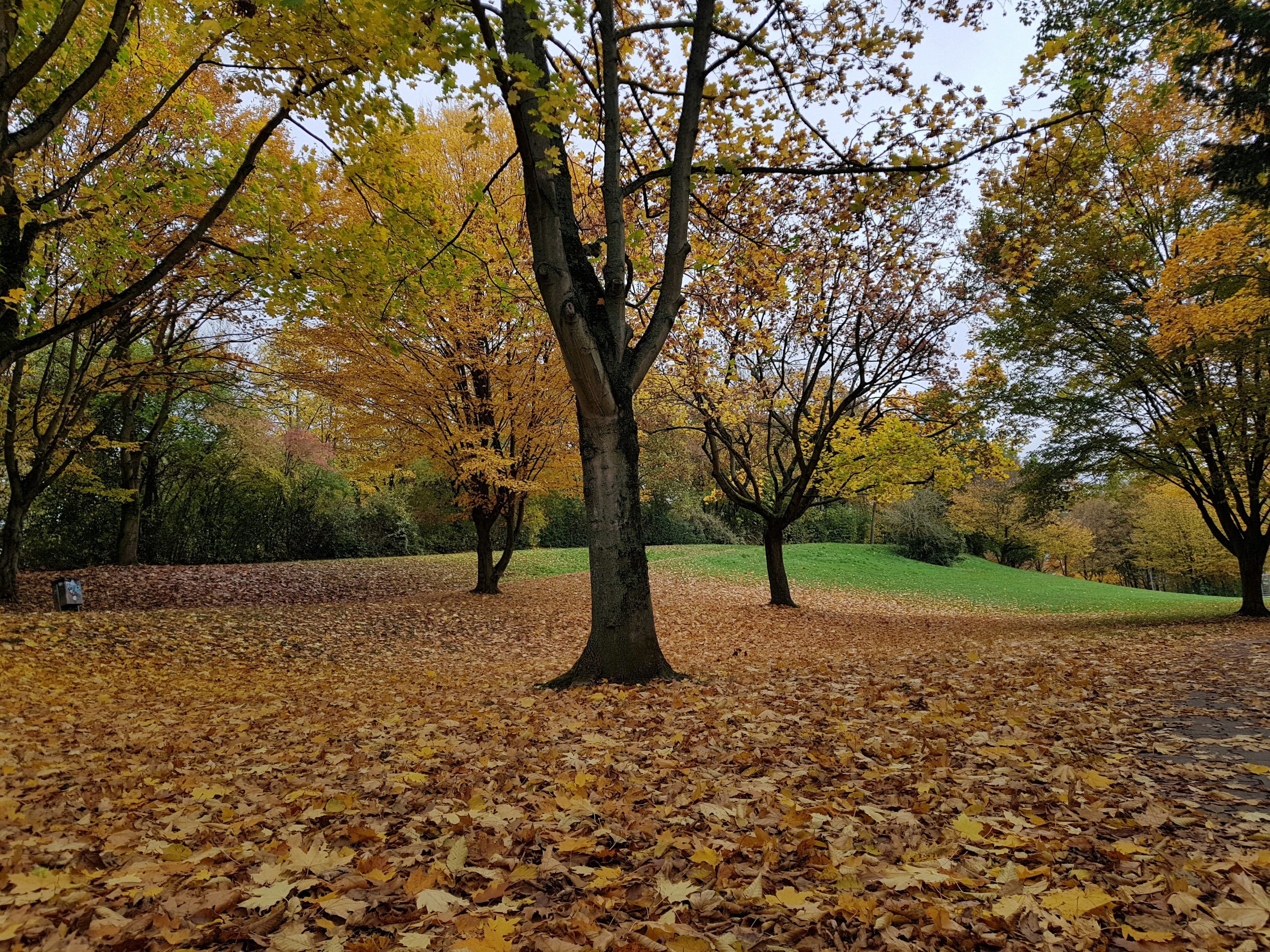 Photo by afaqahmedzahid