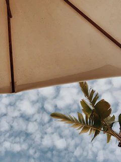 Soft beige pareo flowing in the breeze with tropical greenery background