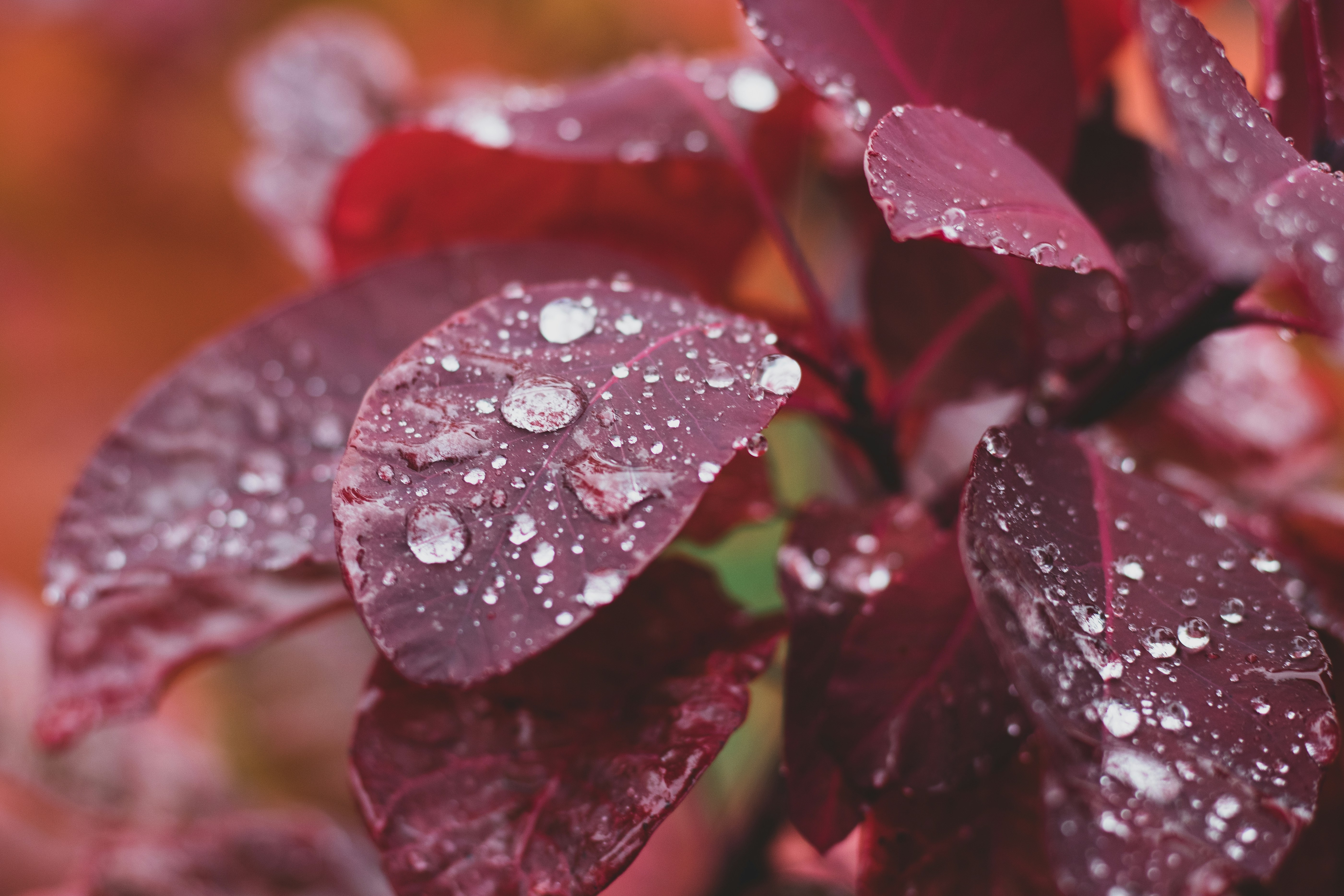 Photo by patrycja_chociej