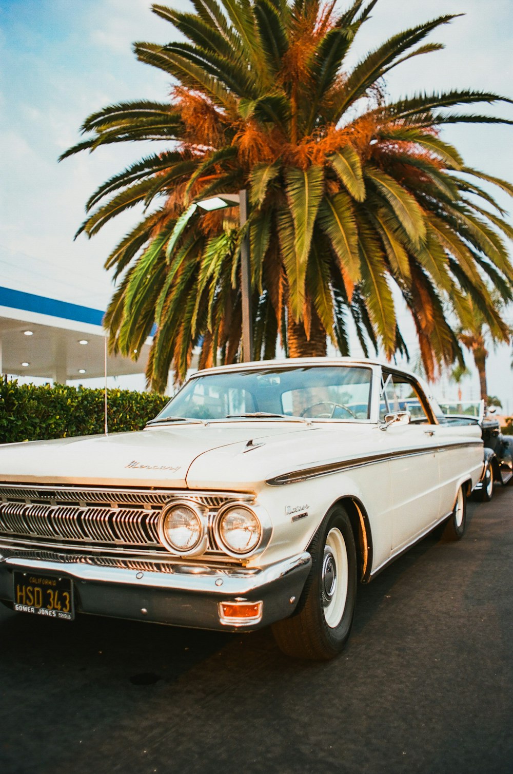 white and blue classic car parked near palm trees during daytime