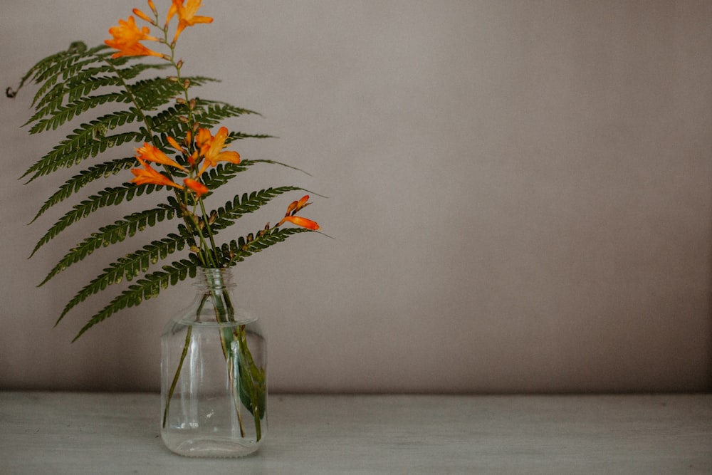 orange flowers in clear glass vase