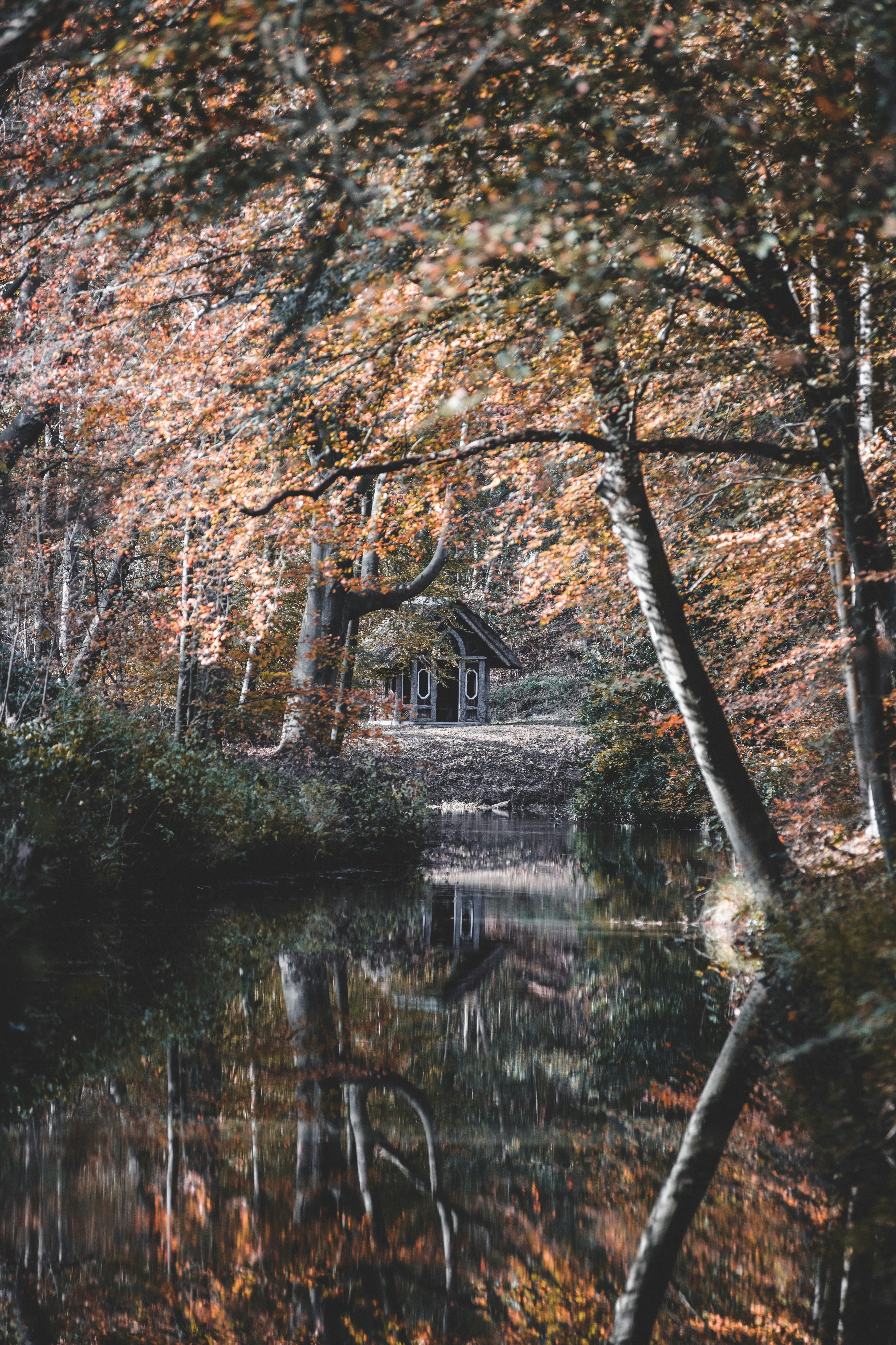 Photo by shotsbymella