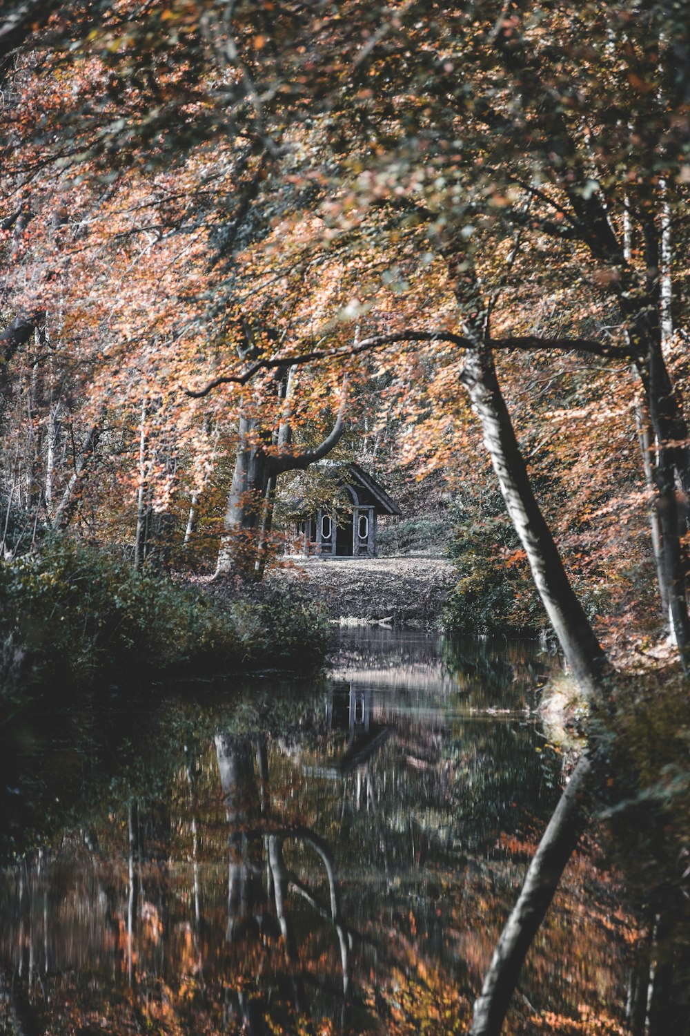 brown wooden bridge over river