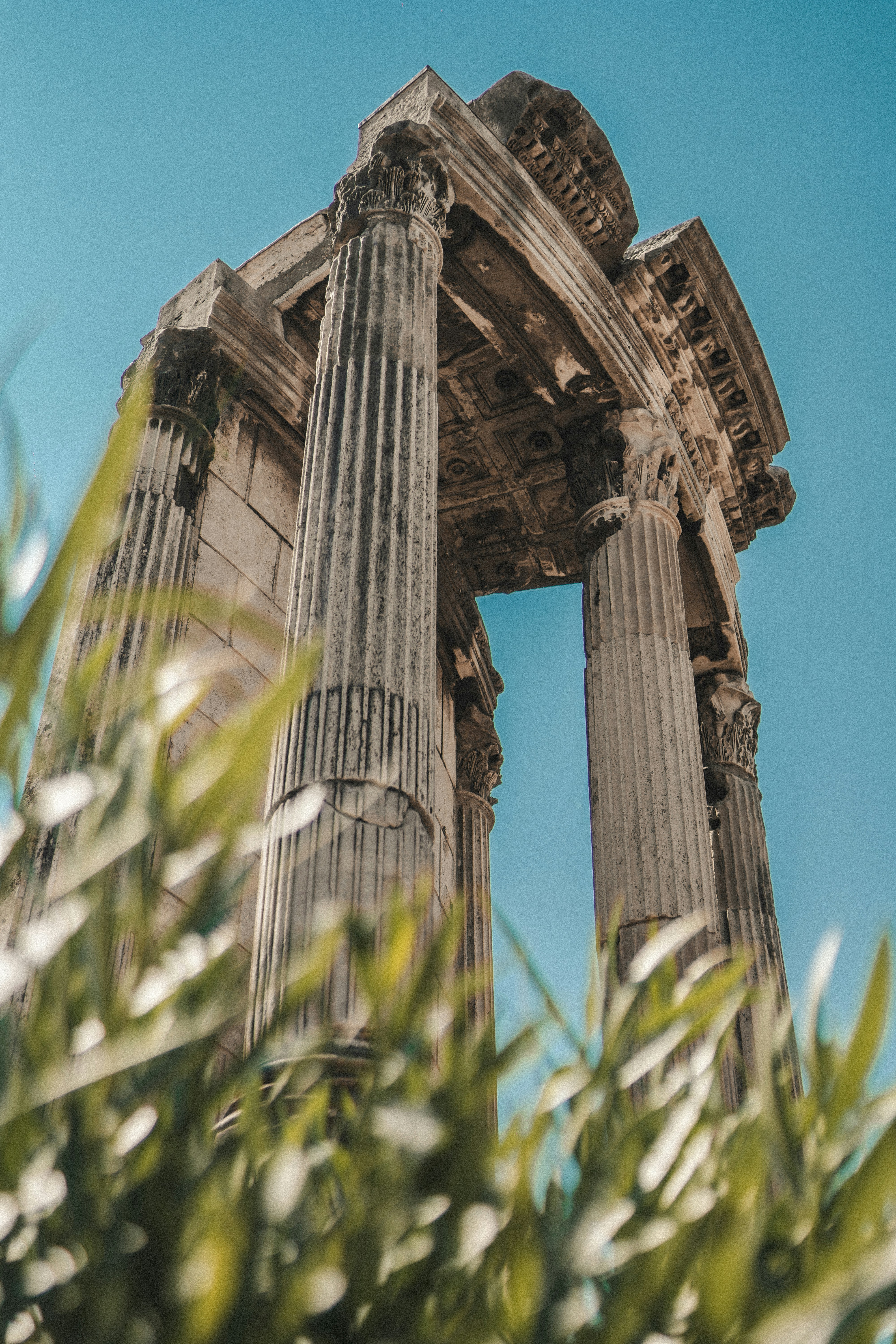 Photo by davidramr96