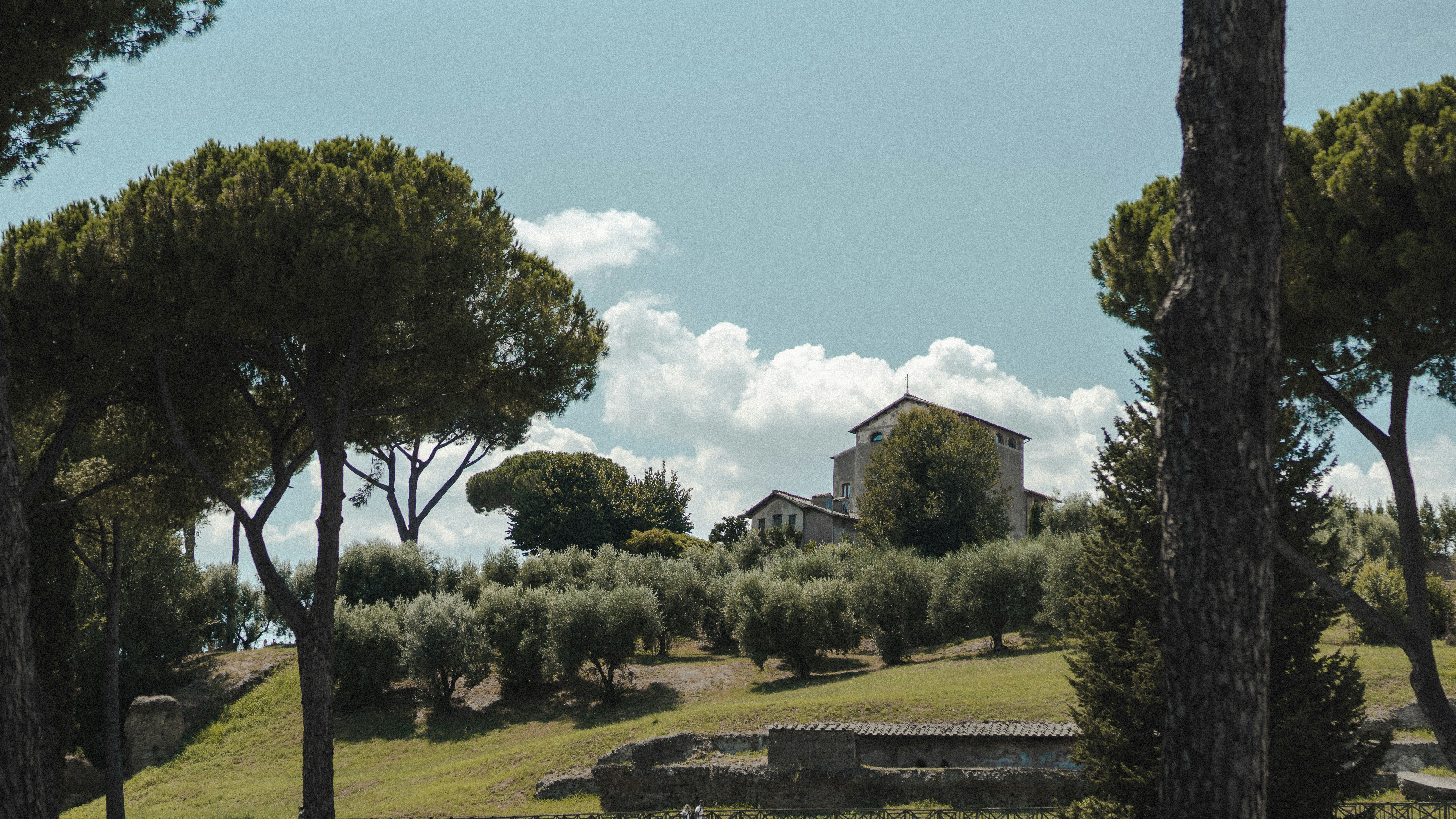 Photo by davidramr96