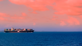 cargo ship on sea under cloudy sky during daytime