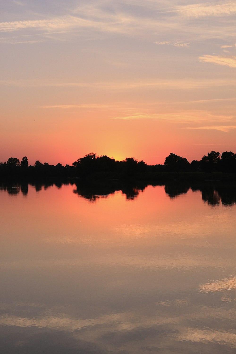 silhouette of trees near body of water during sunset