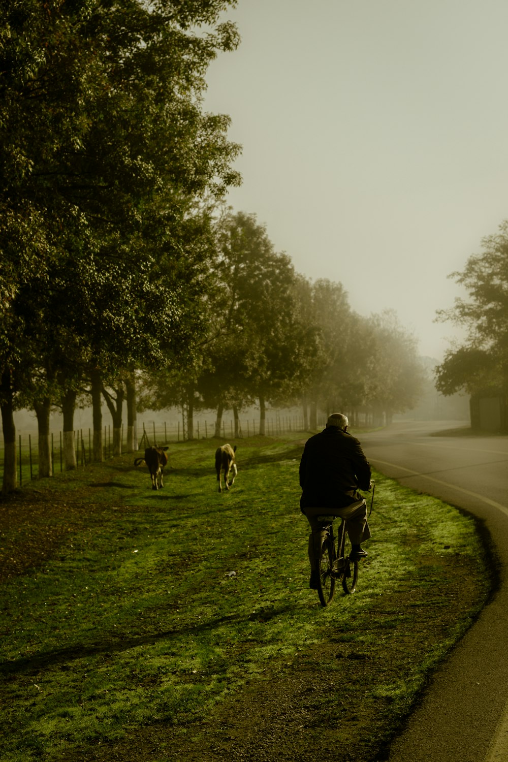 man in black jacket riding bicycle on road during daytime