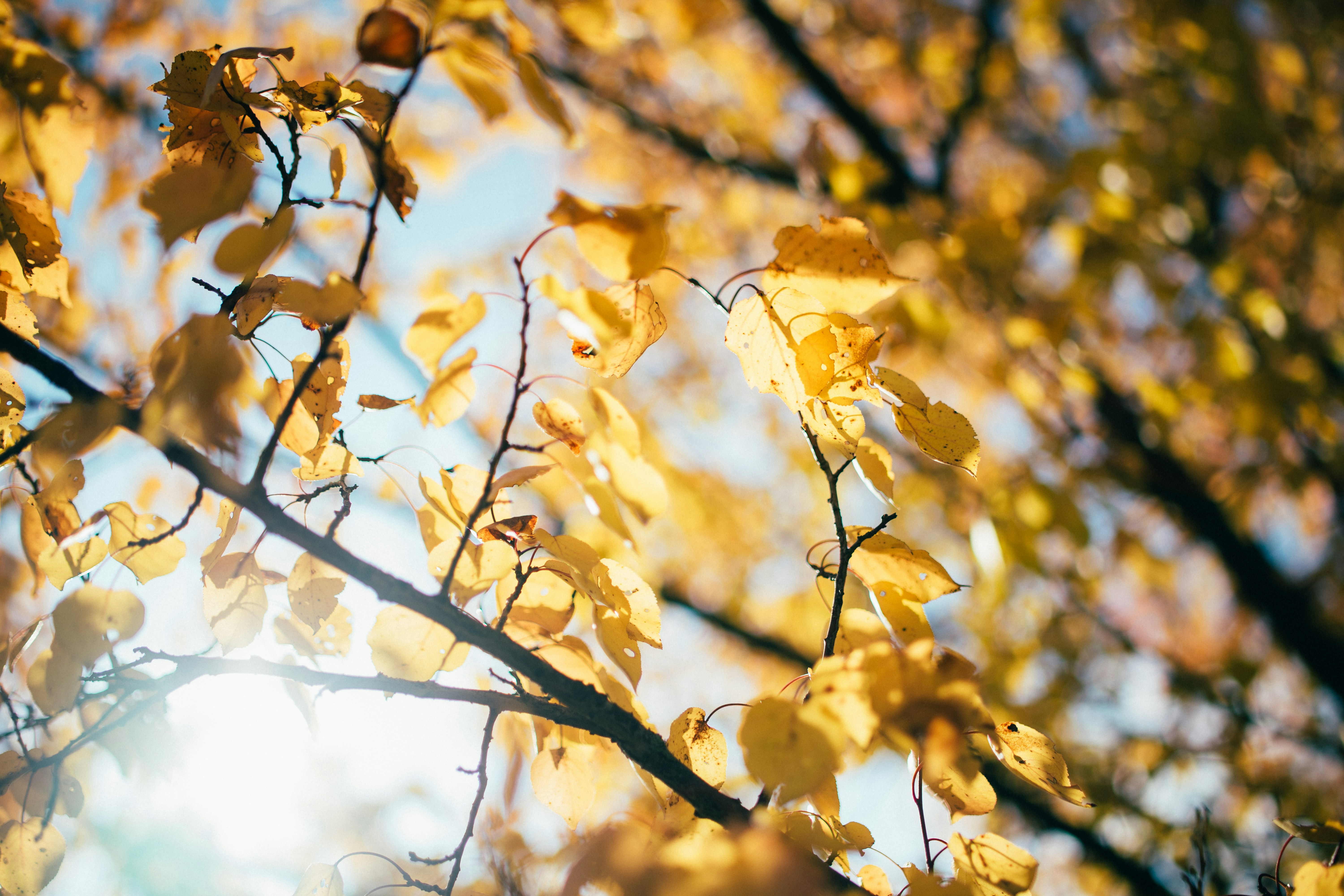 Photo by onmywayhome