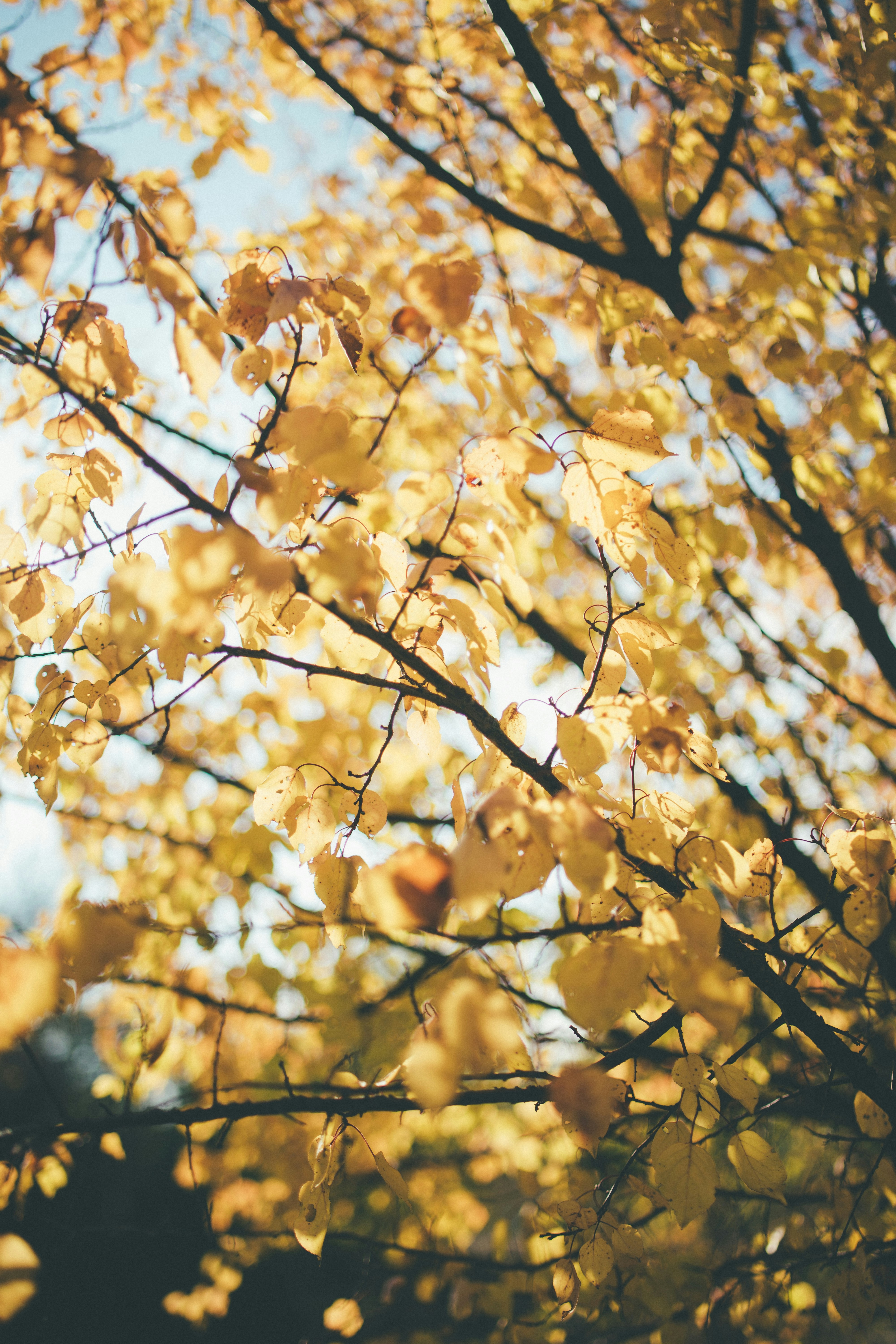 Photo by onmywayhome