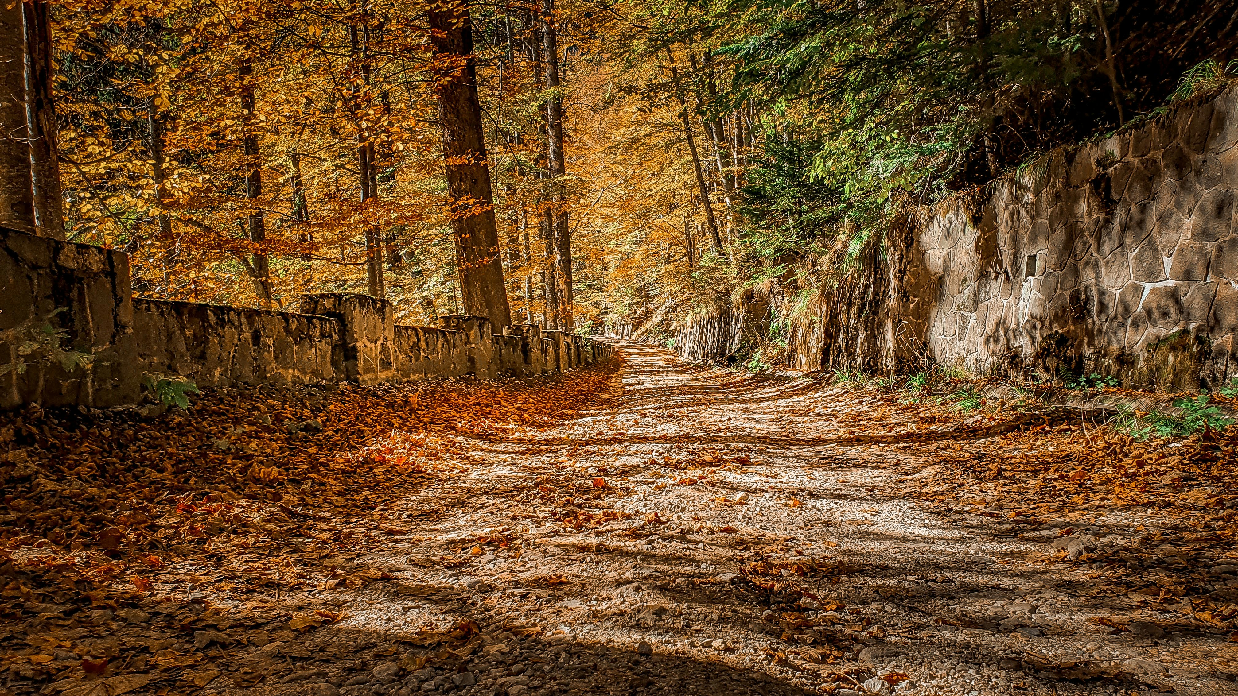 Photo by jaquestories