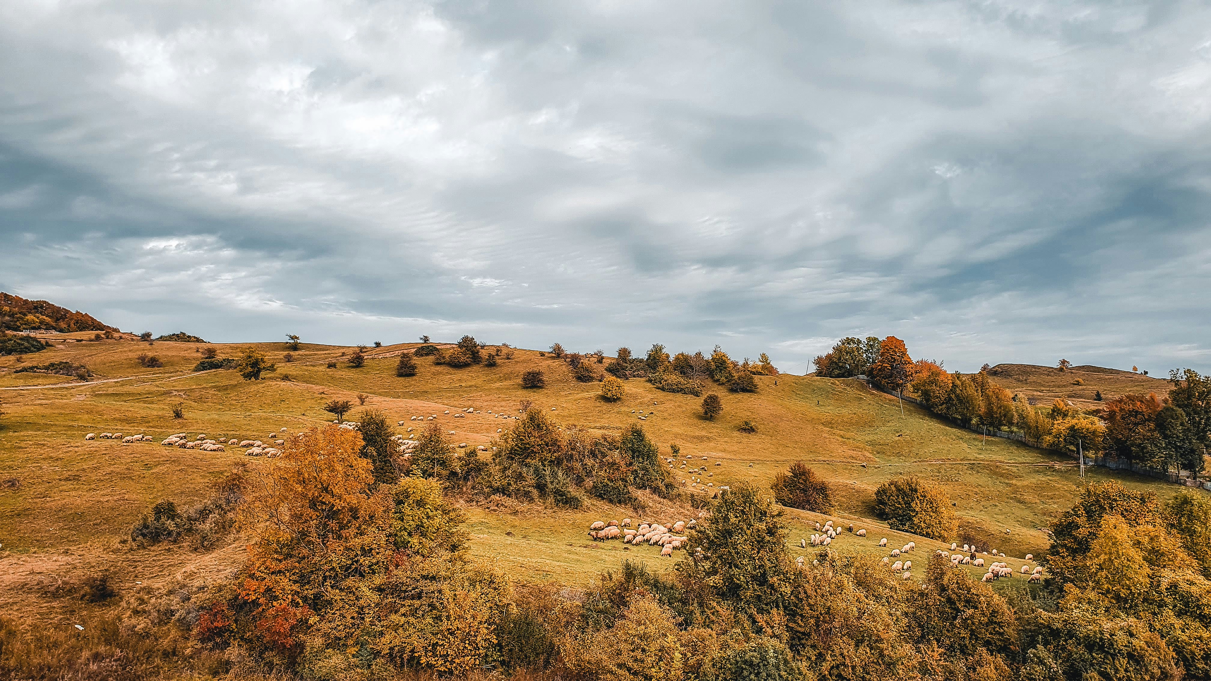 Photo by jaquestories