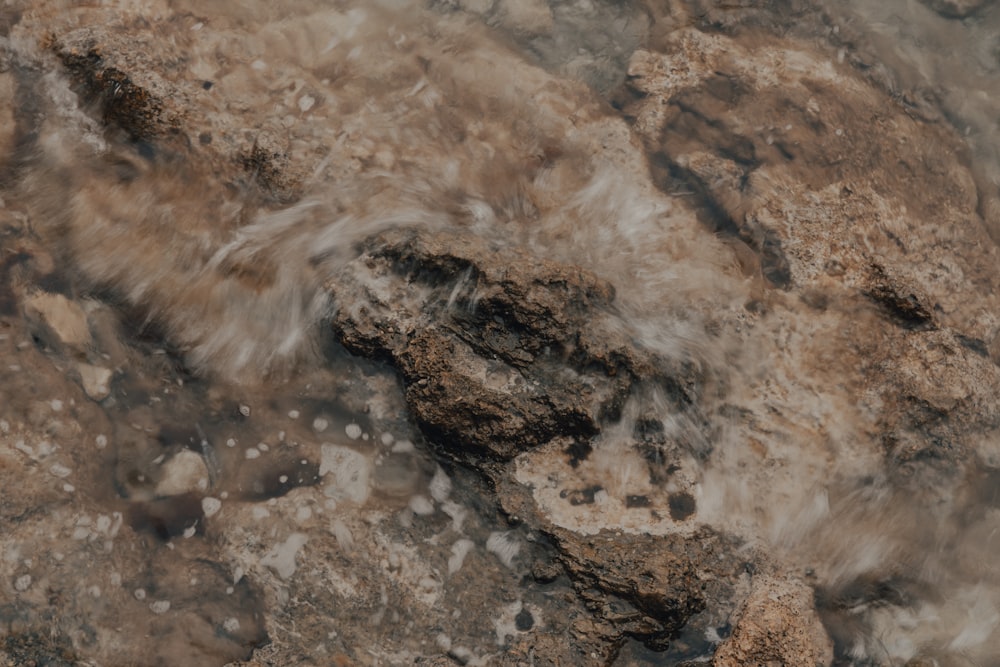 brown and gray rocky shore