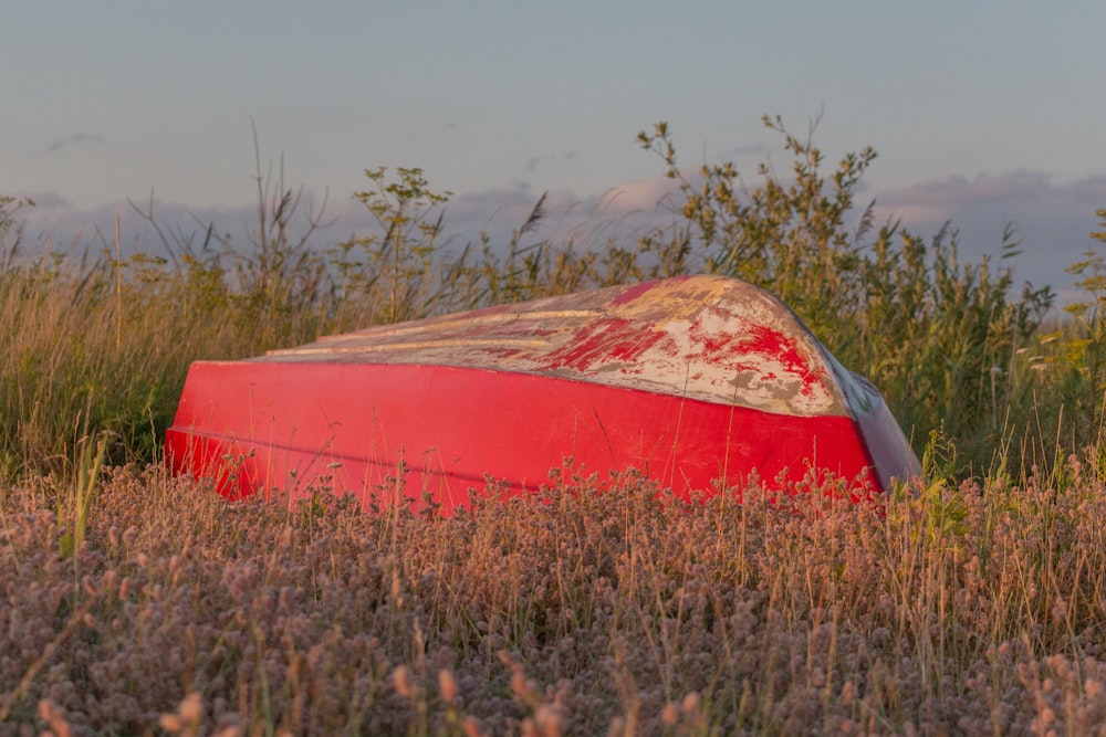 red and white tent on brown grass field during daytime