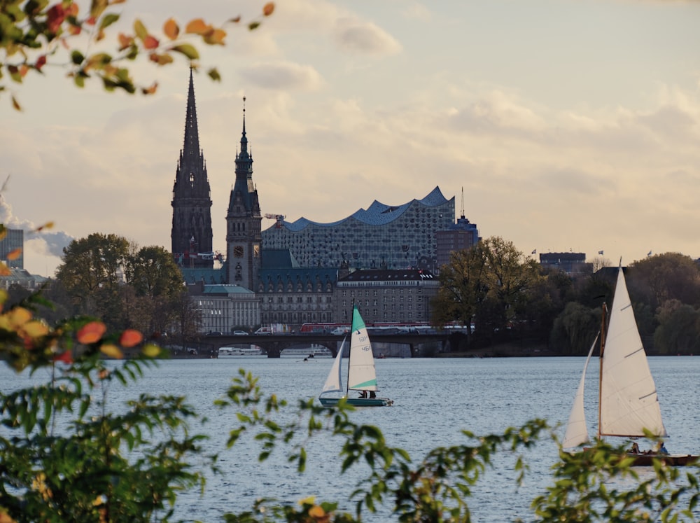 Weißes Segelboot tagsüber auf dem Wasser in der Nähe von Stadtgebäuden