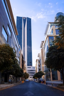 green tree near high rise buildings during daytime