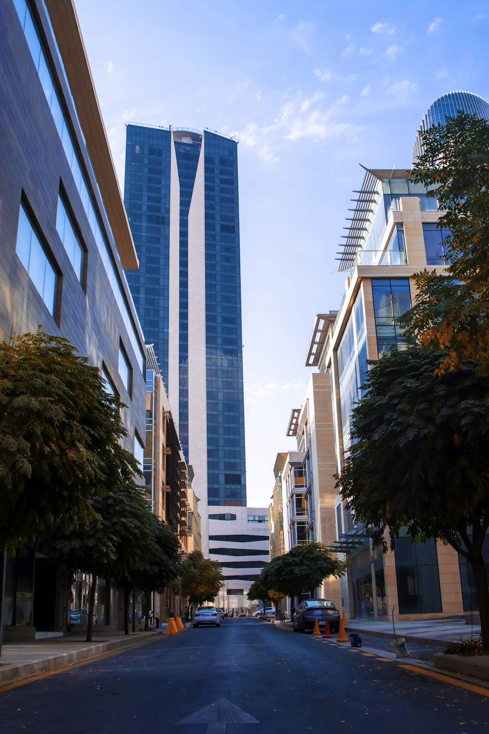 green tree near high rise buildings during daytime