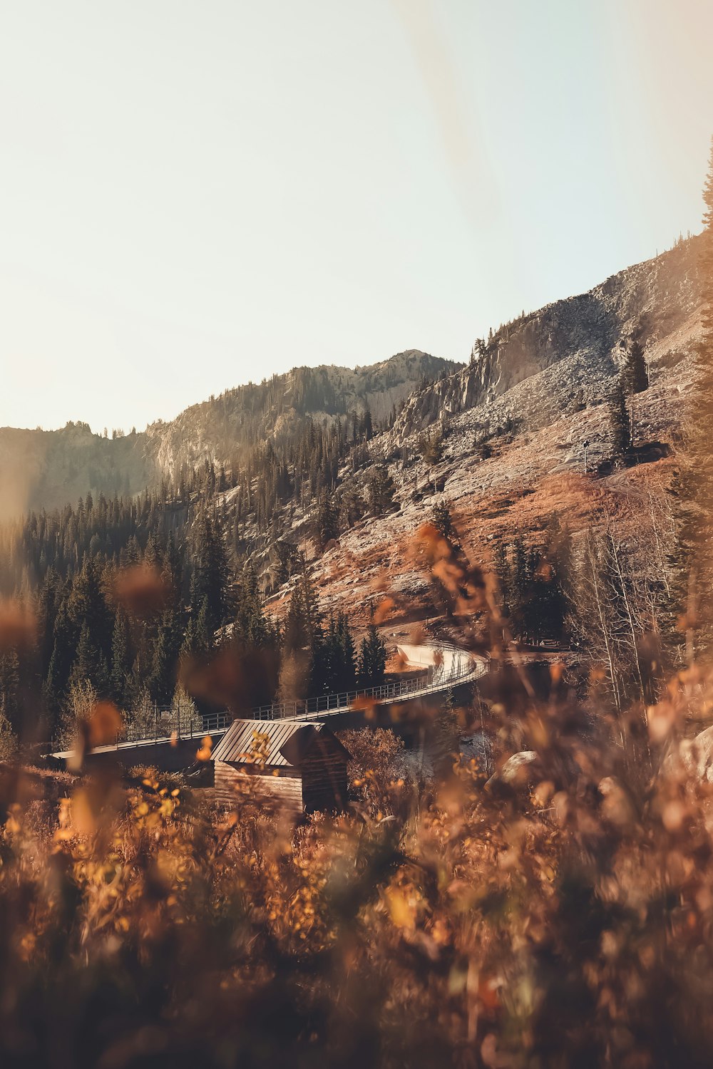 brown wooden bridge on brown rocky mountain during daytime