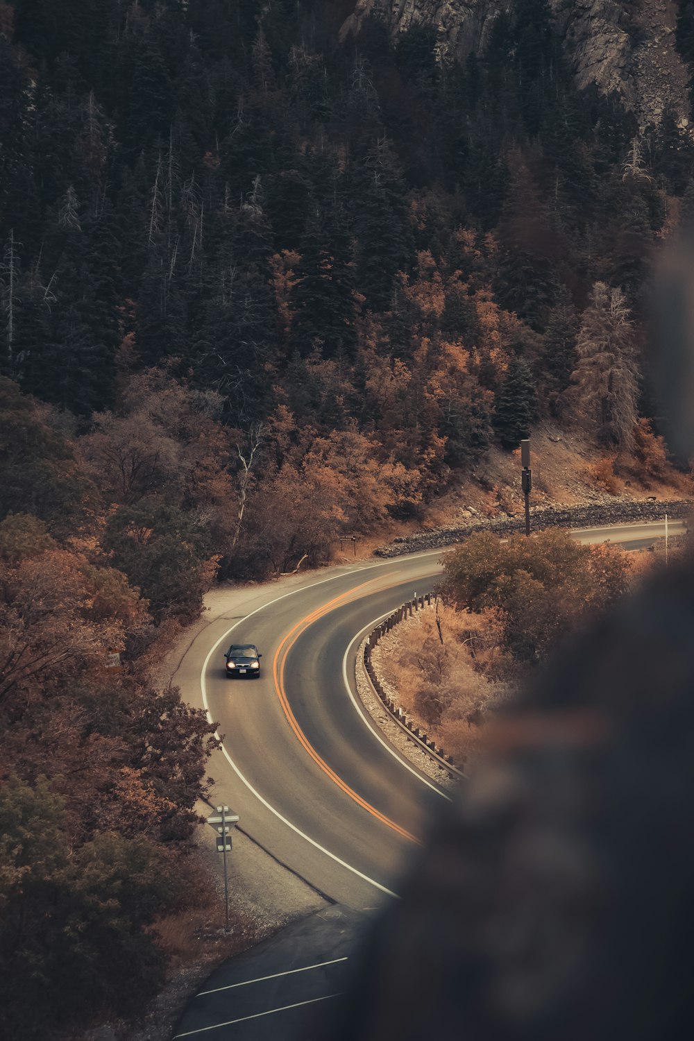 gray asphalt road between green trees during daytime