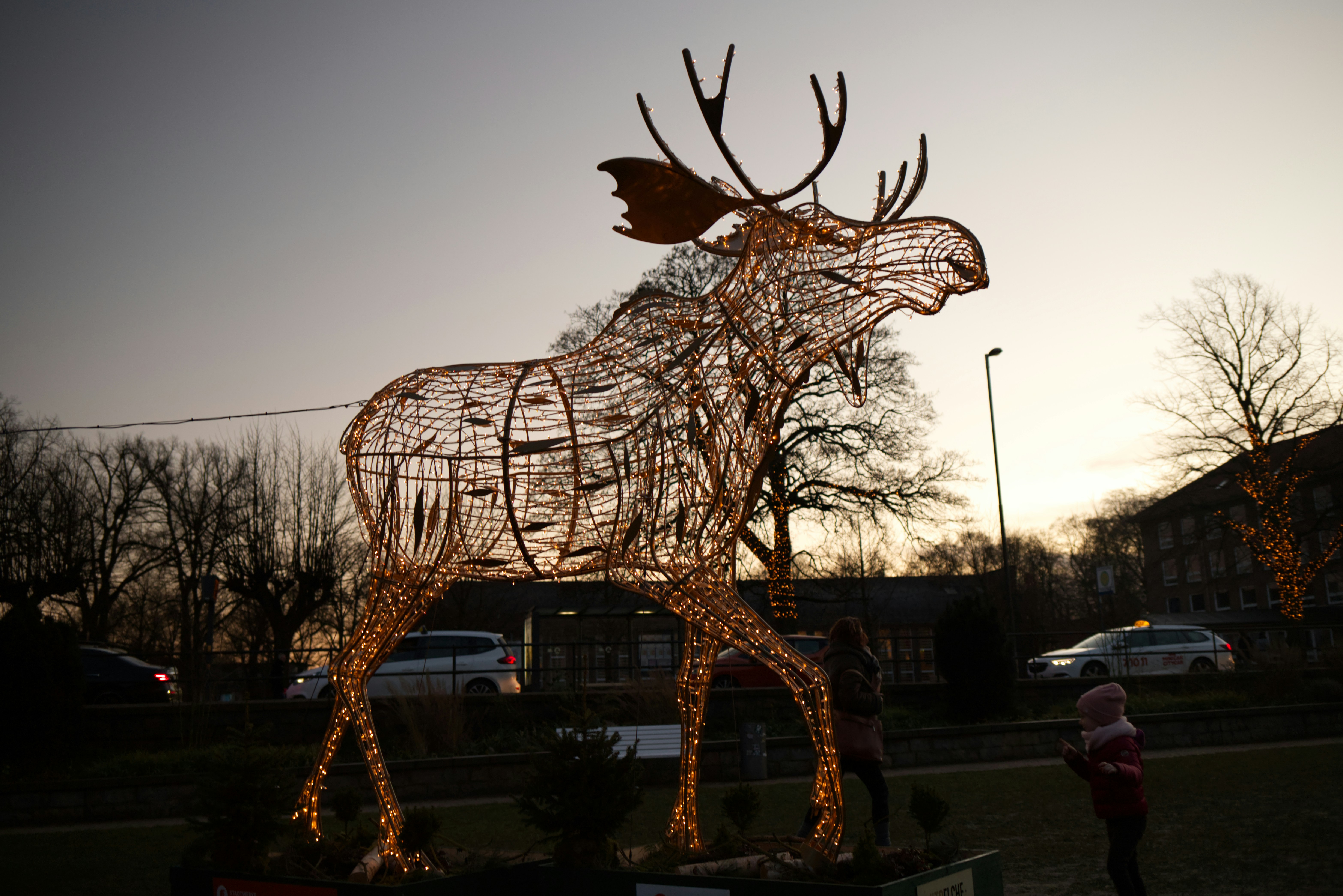 Stor elgfigur med julelys ved Holstentorplatz i Lübeck i skumringen