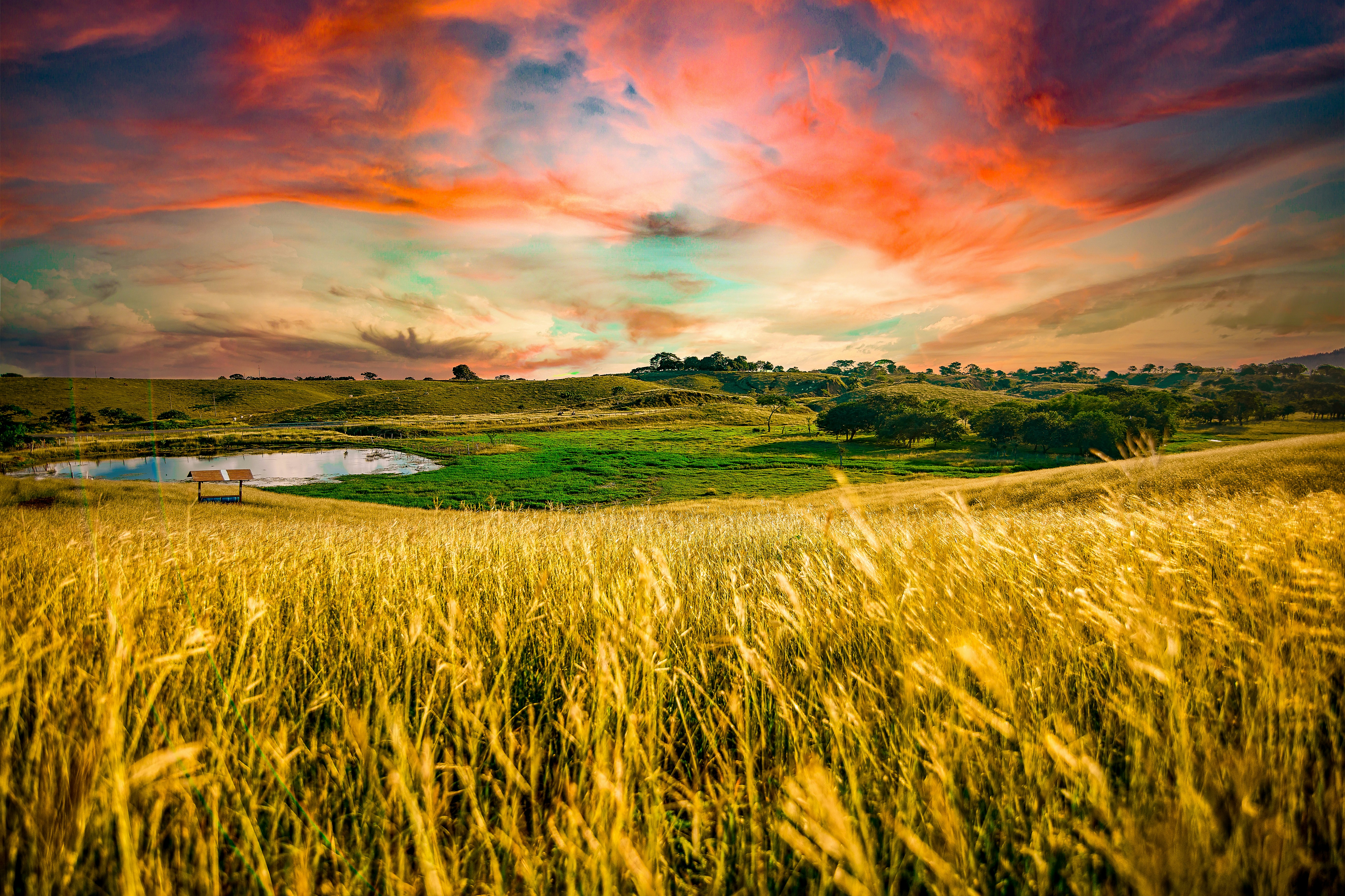 green grass field under orange and gray cloudy sky