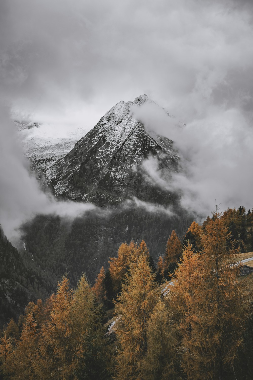 green and brown trees near mountain under white clouds during daytime