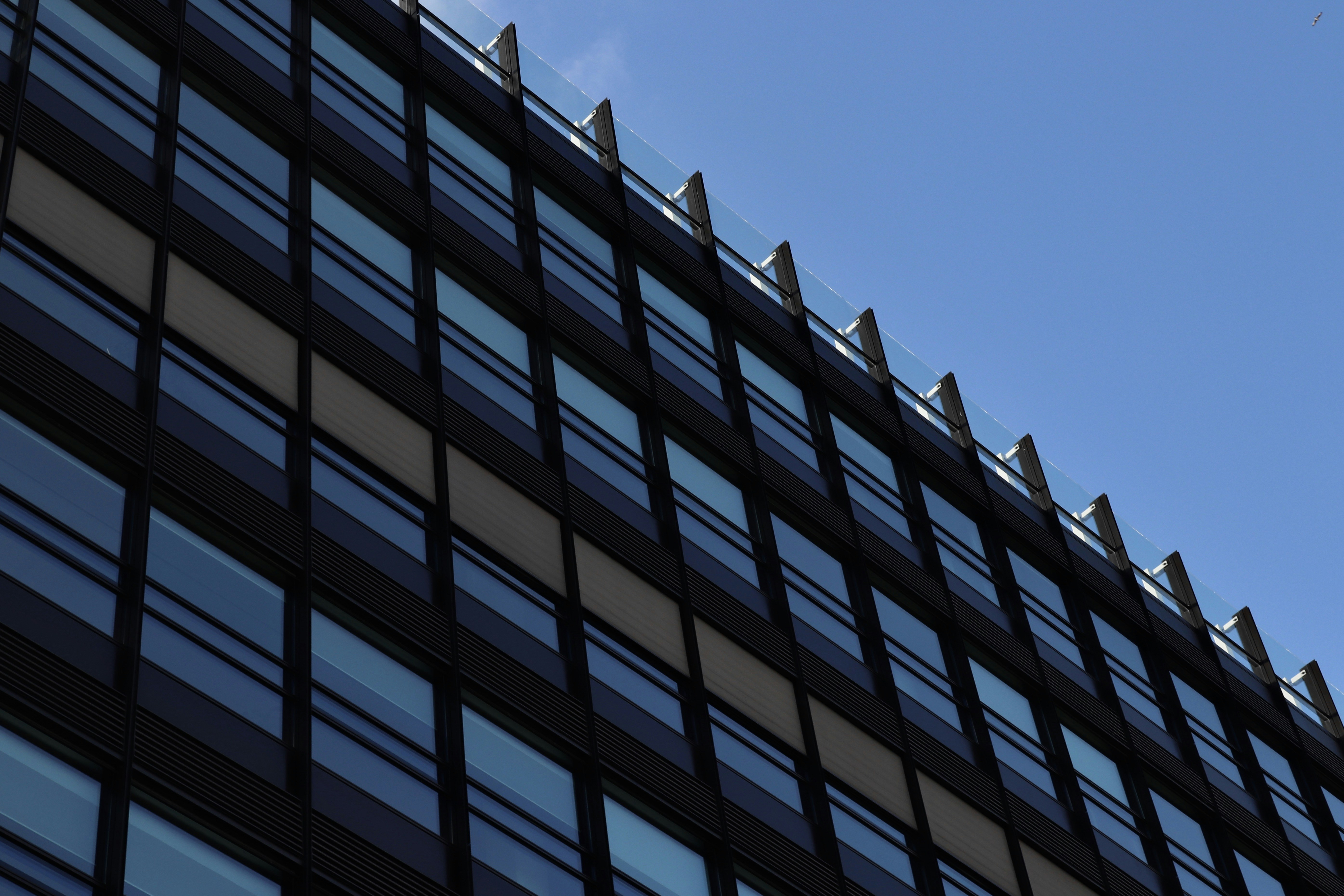 Photo by daphne_lamens