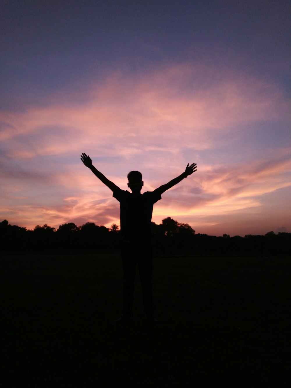 silhouette of man standing on field during sunset