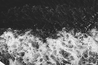 water splash on black and white