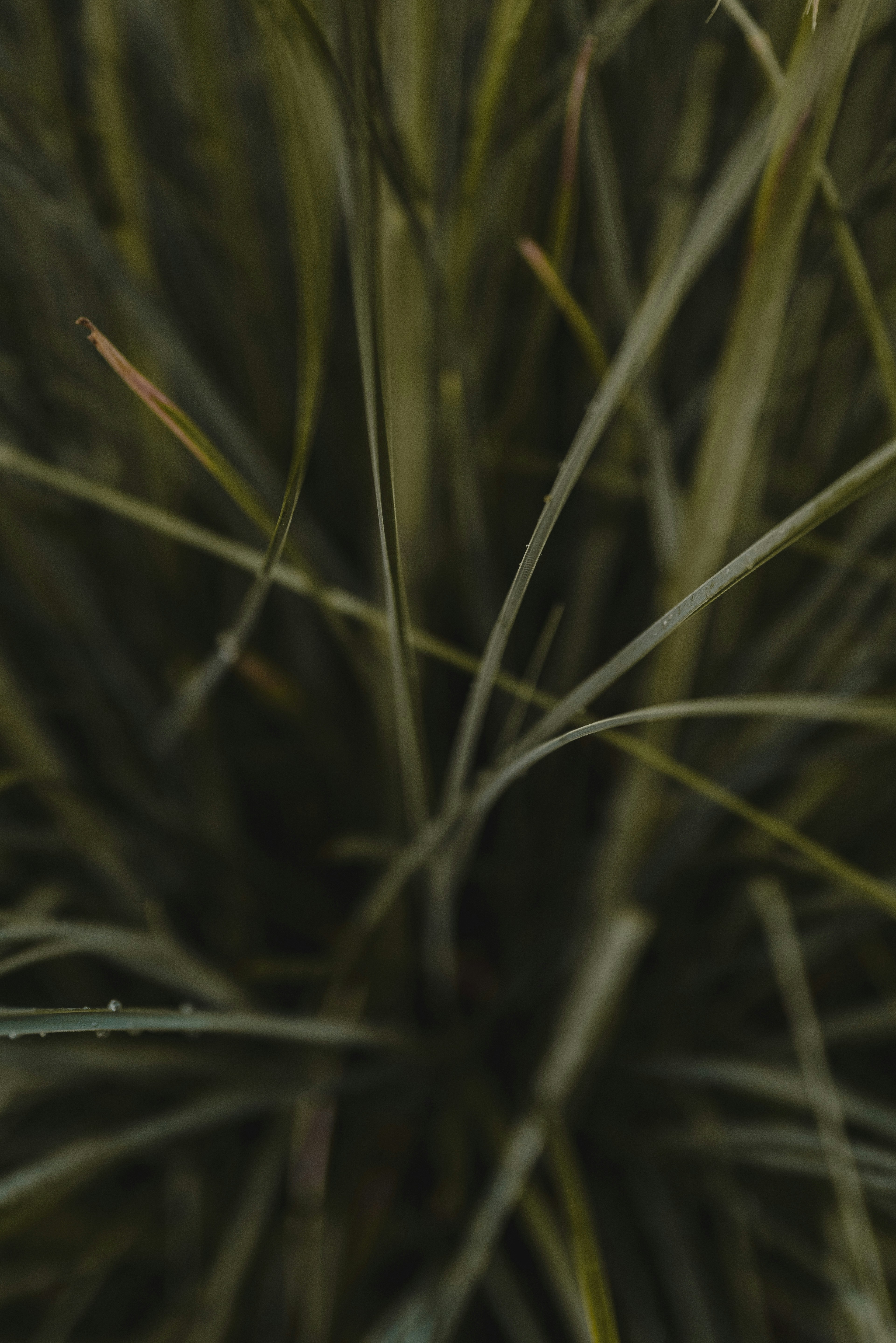 Photo by patresinger