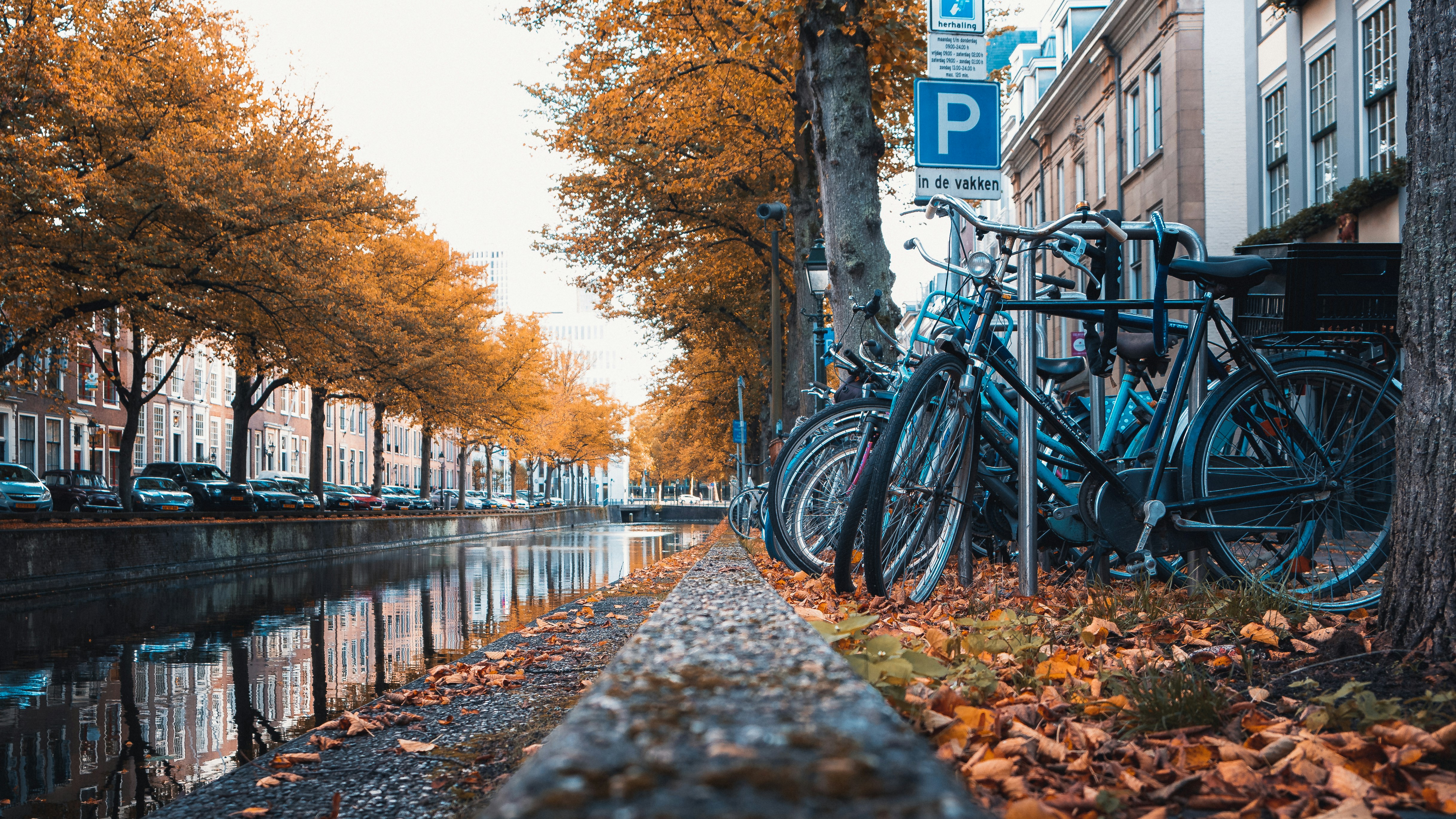 Photo by chardrizard