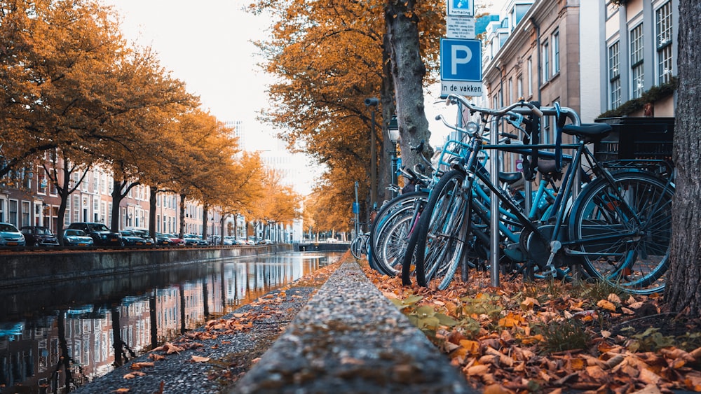 bicicleta preta estacionada ao lado do rio