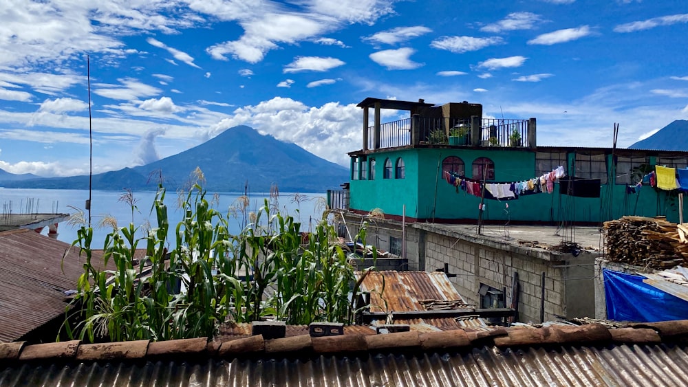 green and blue wooden house near body of water under blue sky during daytime