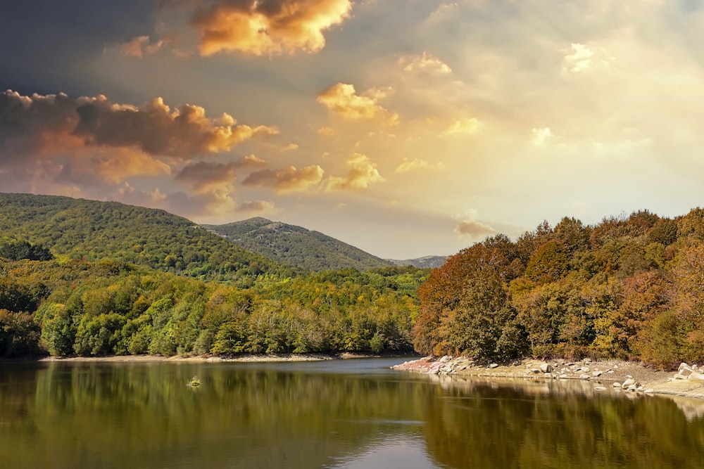 green and brown trees beside river under cloudy sky during daytime